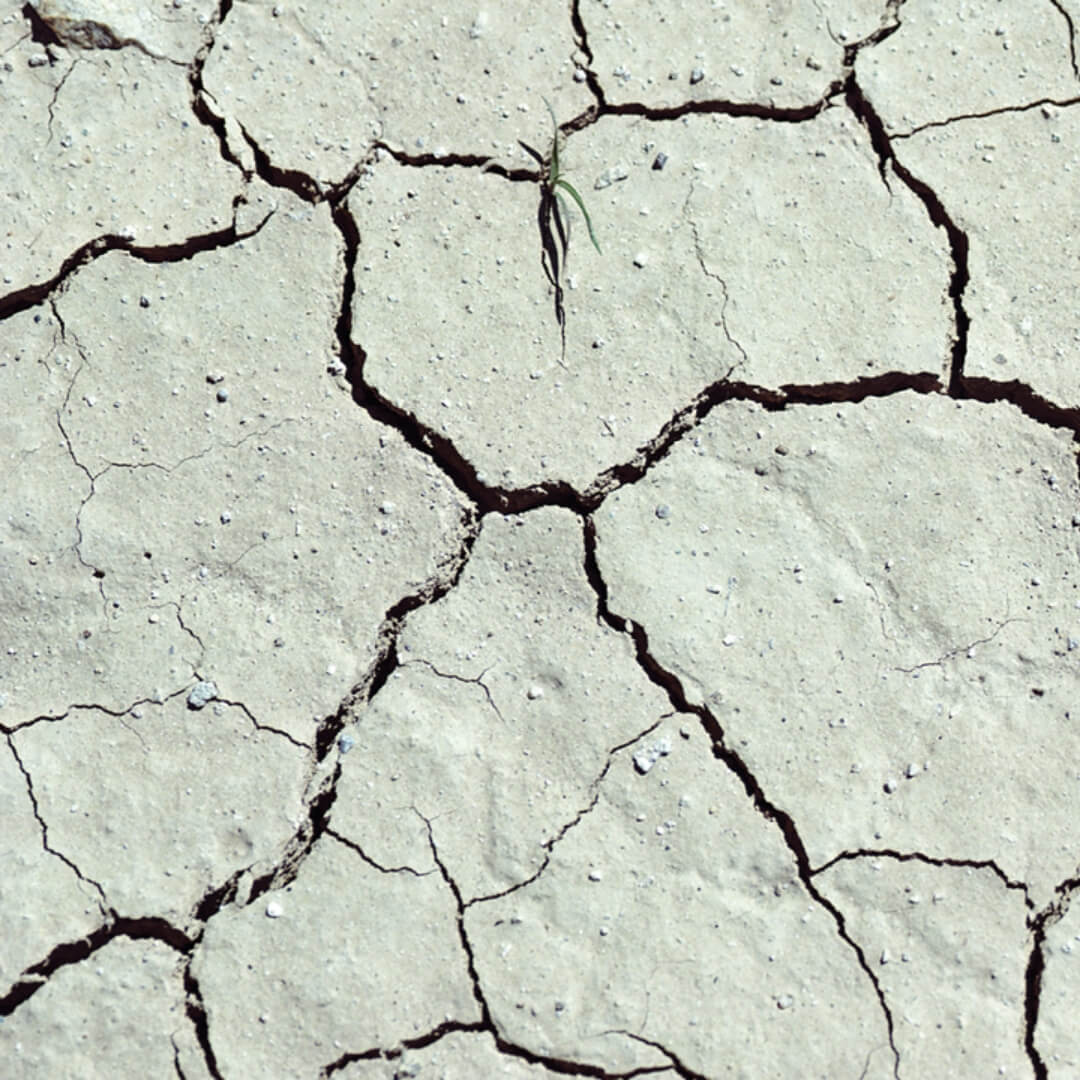 Keeping Pace with Climate Change